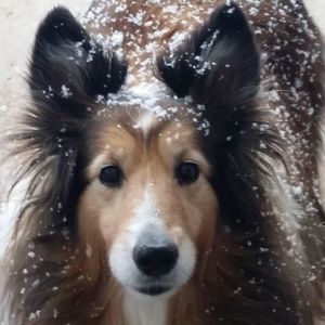 Meet your Posher, Tracy